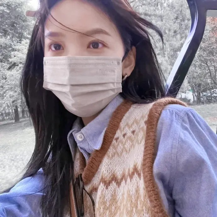 橱窗里的兔子先生