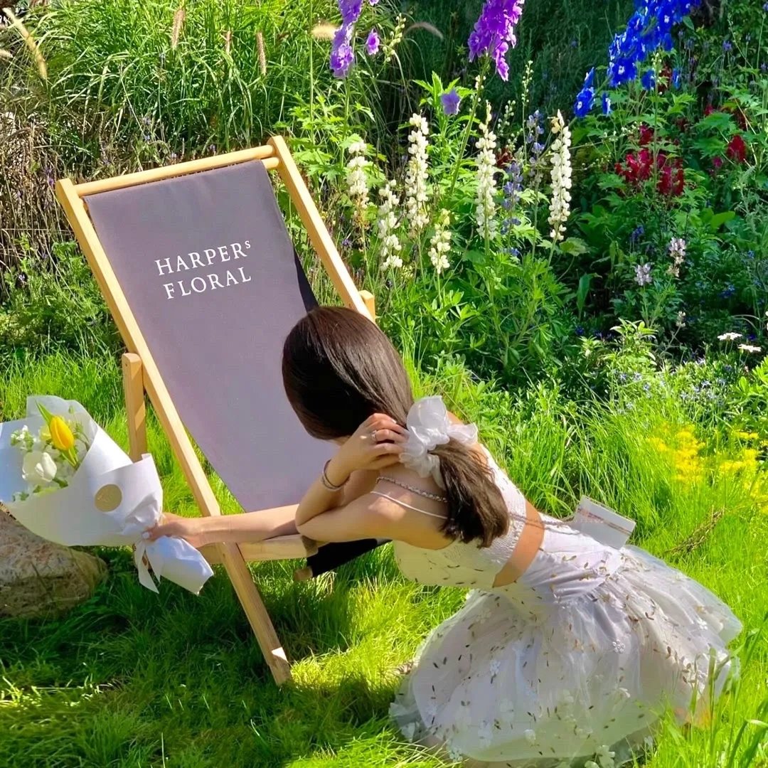 家和万事兴短剧